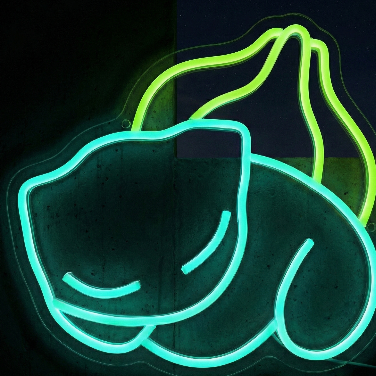Pokemon Neon Signs
